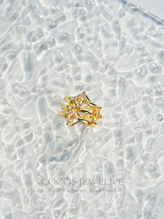 Multi-Layered Zirconia Ring